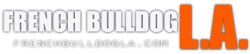 French Bulldog In Los Angeles